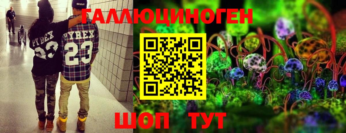 Псилоцибиновые грибы GOLDEN TEACHER Сухой Лог