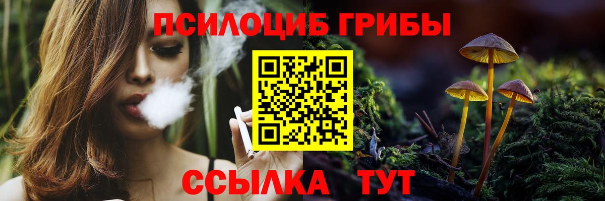Сухой Лог  Галлюциногенные грибы мухоморы  Галлюциногенные грибы MAGIC MUSHROOMS  Вход с VPN 
